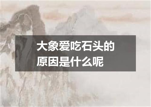大象爱吃石头的原因是什么呢