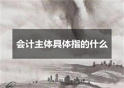会计主体具体指的什么