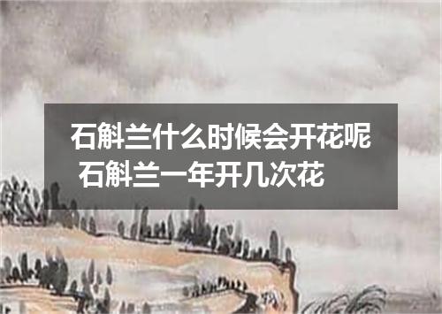 石斛兰什么时候会开花呢 石斛兰一年开几次花