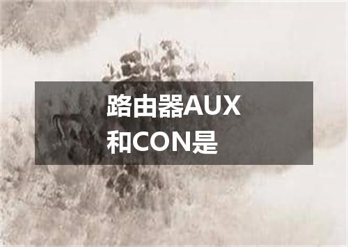 路由器AUX和CON是