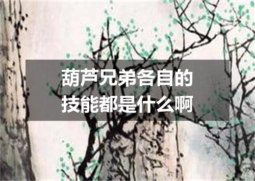 葫芦兄弟各自的技能都是什么啊