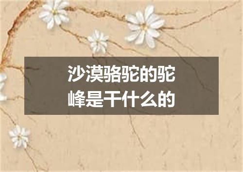 沙漠骆驼的驼峰是干什么的