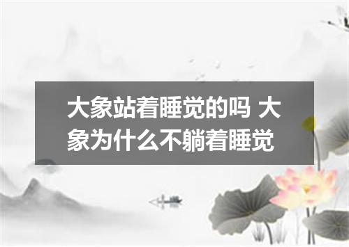 大象站着睡觉的吗 大象为什么不躺着睡觉