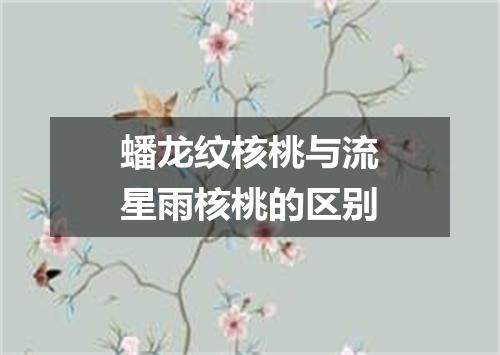 蟠龙纹核桃与流星雨核桃的区别