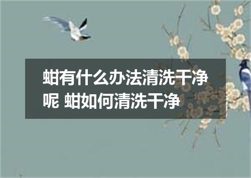蚶有什么办法清洗干净呢 蚶如何清洗干净