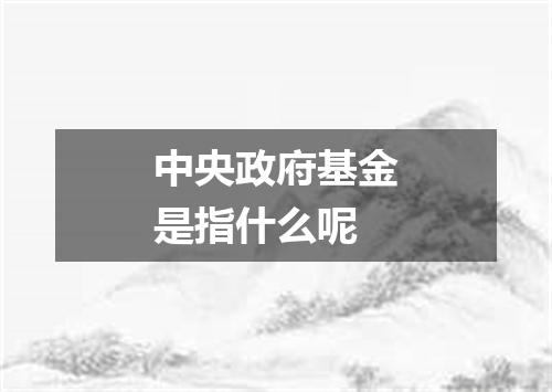 中央政府基金是指什么呢
