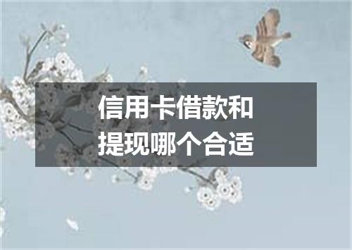 信用卡借款和提现哪个合适