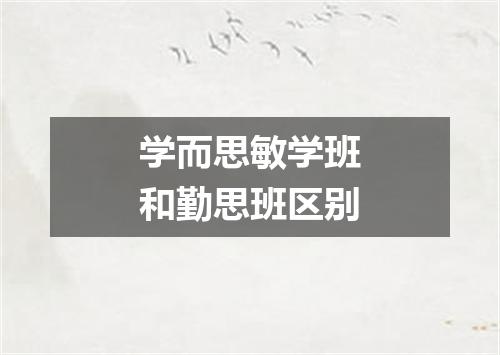 学而思敏学班和勤思班区别