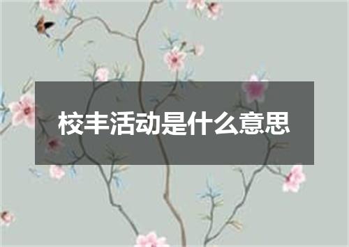 校丰活动是什么意思