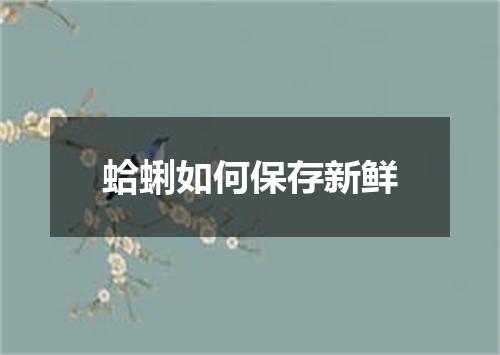 蛤蜊如何保存新鲜