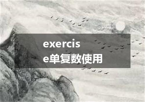 exercise单复数使用