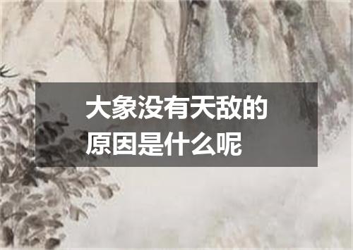 大象没有天敌的原因是什么呢