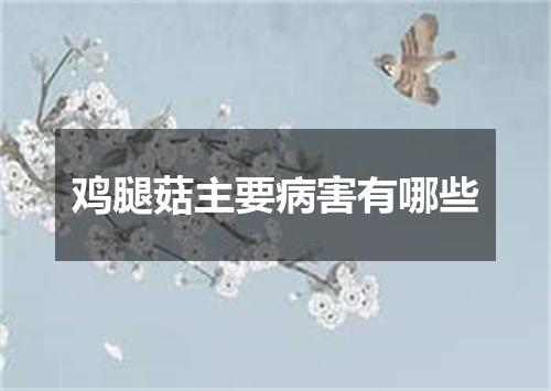 鸡腿菇主要病害有哪些