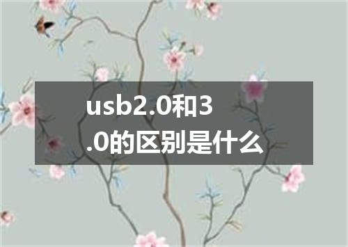 usb2.0和3.0的区别是什么
