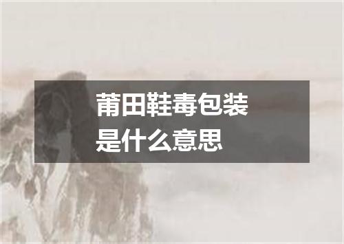 莆田鞋毒包装是什么意思