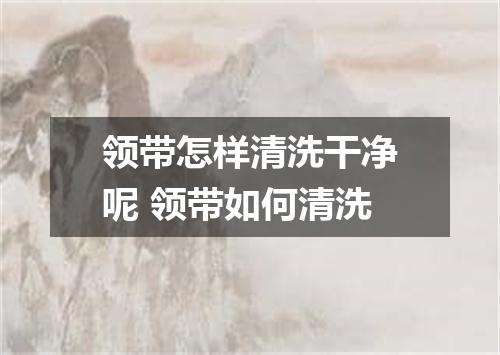 领带怎样清洗干净呢 领带如何清洗