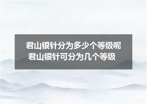 君山银针分为多少个等级呢 君山银针可分为几个等级