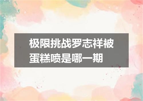 极限挑战罗志祥被蛋糕喷是哪一期