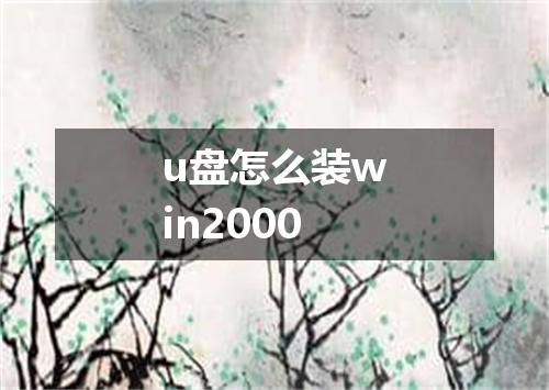 u盘怎么装win2000