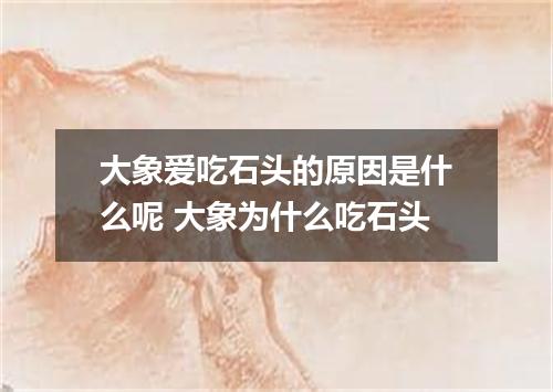 大象爱吃石头的原因是什么呢 大象为什么吃石头