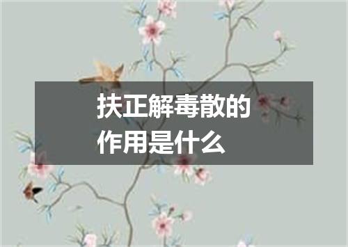 扶正解毒散的作用是什么