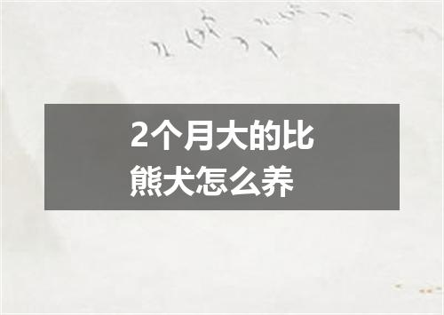 2个月大的比熊犬怎么养
