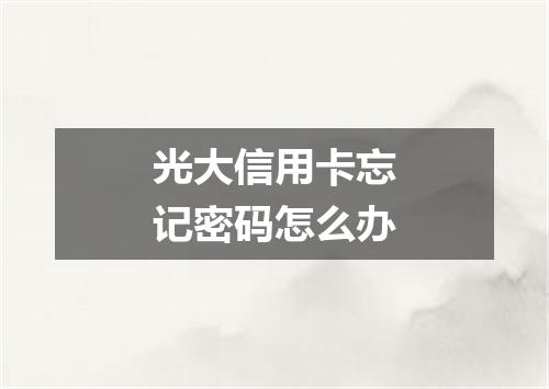 光大信用卡忘记密码怎么办
