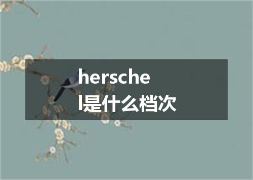 herschel是什么档次