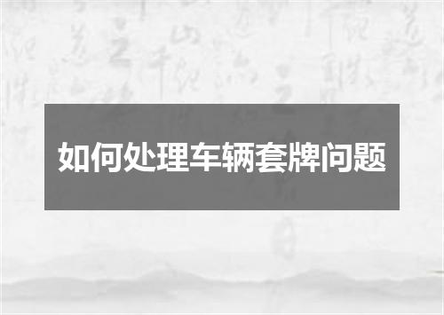 如何处理车辆套牌问题
