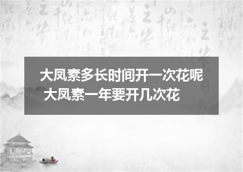 大凤素多长时间开一次花呢 大凤素一年要开几次花