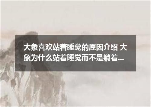 大象喜欢站着睡觉的原因介绍 大象为什么站着睡觉而不是躺着睡觉