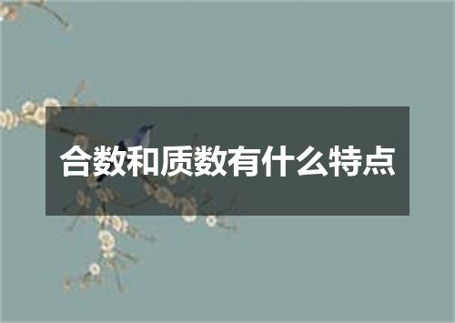 合数和质数有什么特点