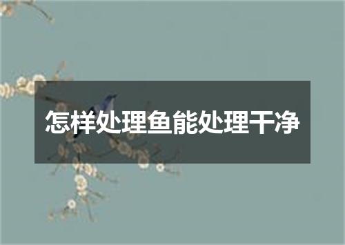 怎样处理鱼能处理干净