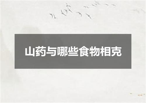 山药与哪些食物相克