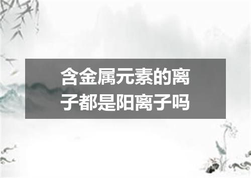 含金属元素的离子都是阳离子吗