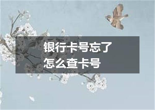 银行卡号忘了怎么查卡号
