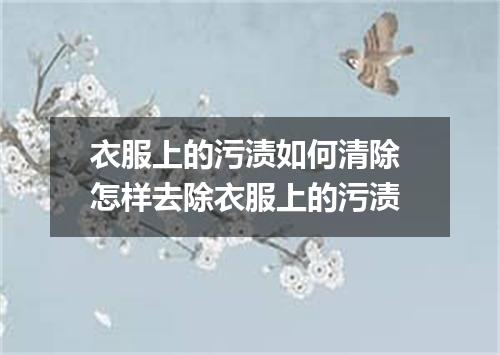衣服上的污渍如何清除 怎样去除衣服上的污渍