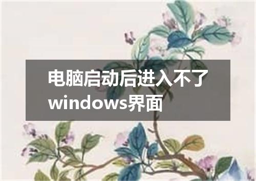 电脑启动后进入不了windows界面
