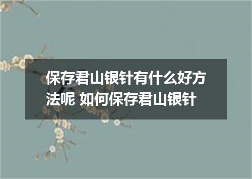 保存君山银针有什么好方法呢 如何保存君山银针