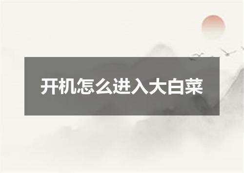 开机怎么进入大白菜