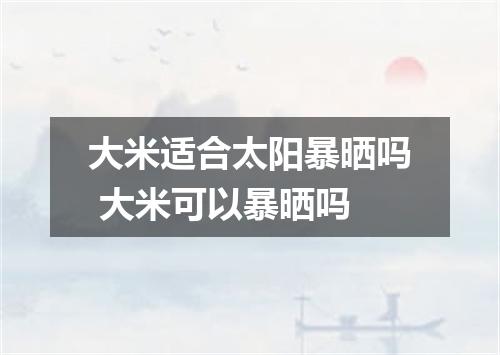 大米适合太阳暴晒吗 大米可以暴晒吗