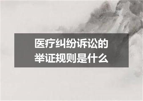 医疗纠纷诉讼的举证规则是什么