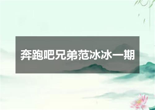 奔跑吧兄弟范冰冰一期