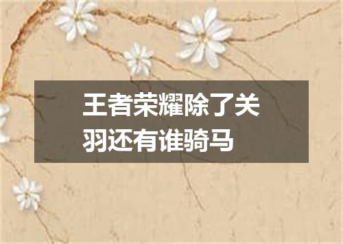 王者荣耀除了关羽还有谁骑马