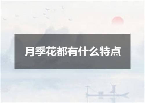 月季花都有什么特点