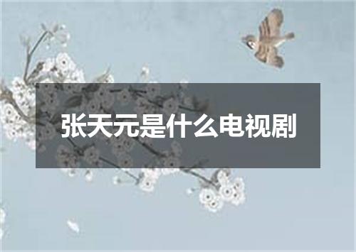 张天元是什么电视剧