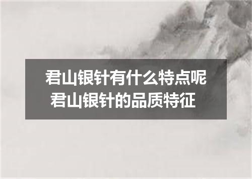 君山银针有什么特点呢 君山银针的品质特征