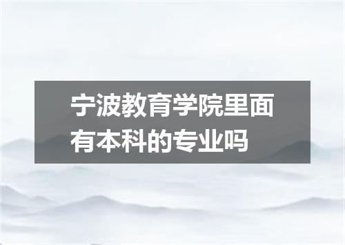 宁波教育学院里面有本科的专业吗