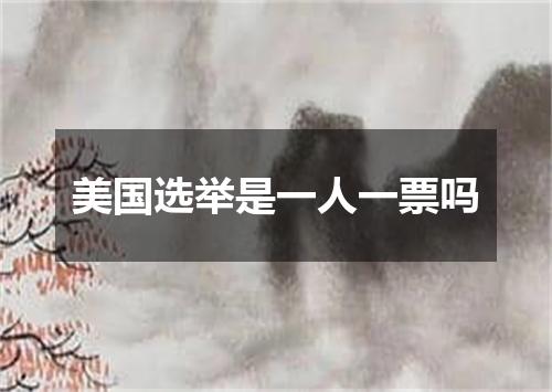 美国选举是一人一票吗