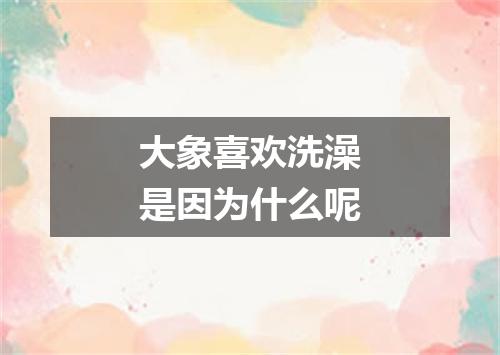 大象喜欢洗澡是因为什么呢